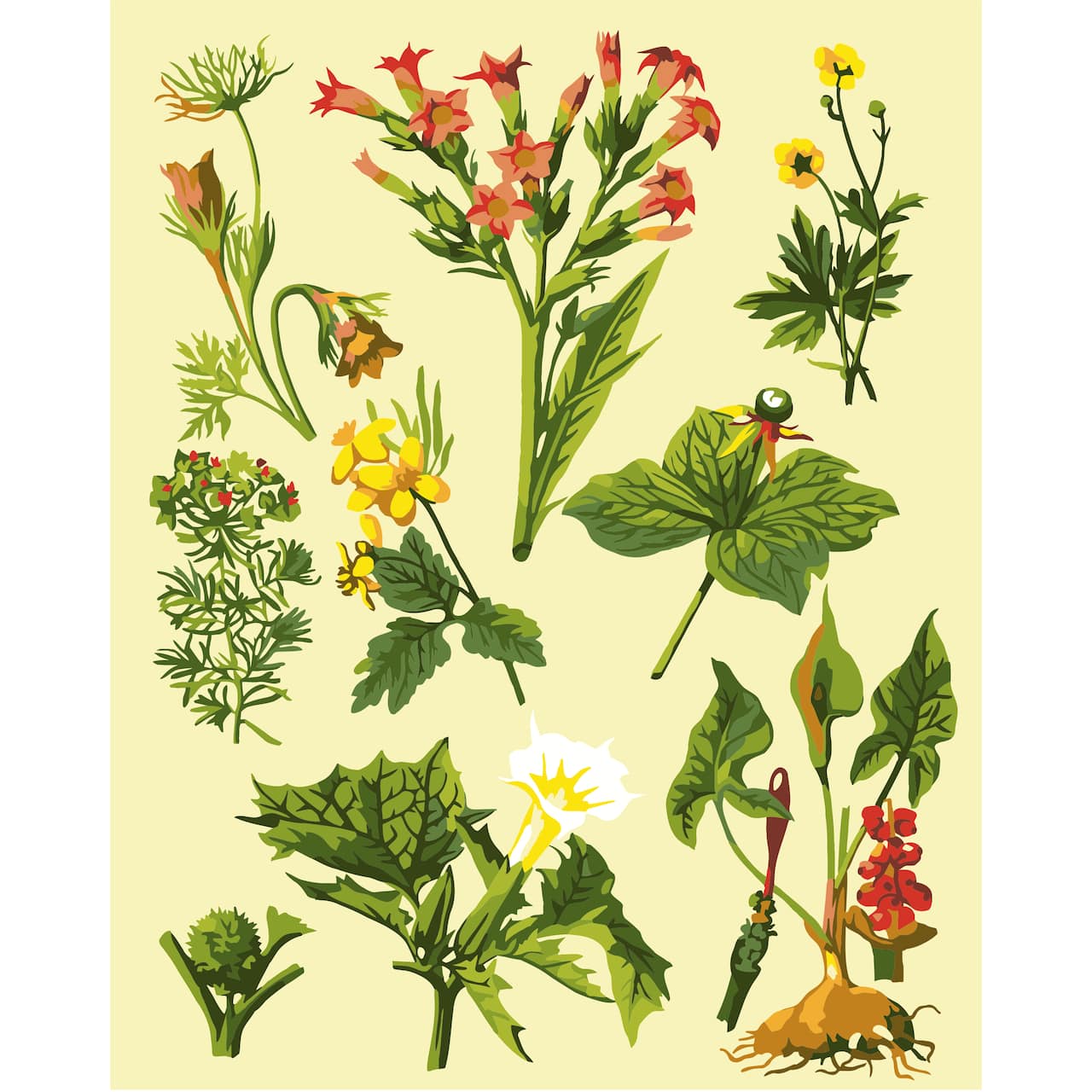8" x 10" Vintage Flowers Paint-by-Number Kit with Wood Display Hanger by Artist's Loft®